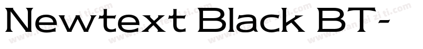 Newtext Black BT字体转换